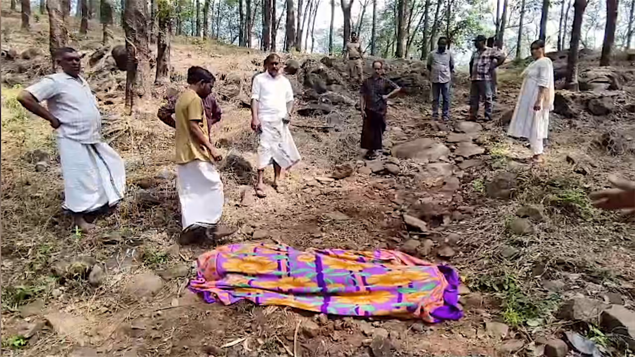 wild elephant attack wild elephant attack