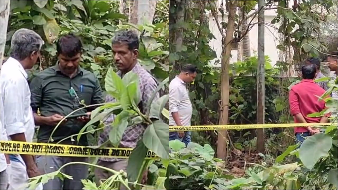 Bones and skull Bones and skull