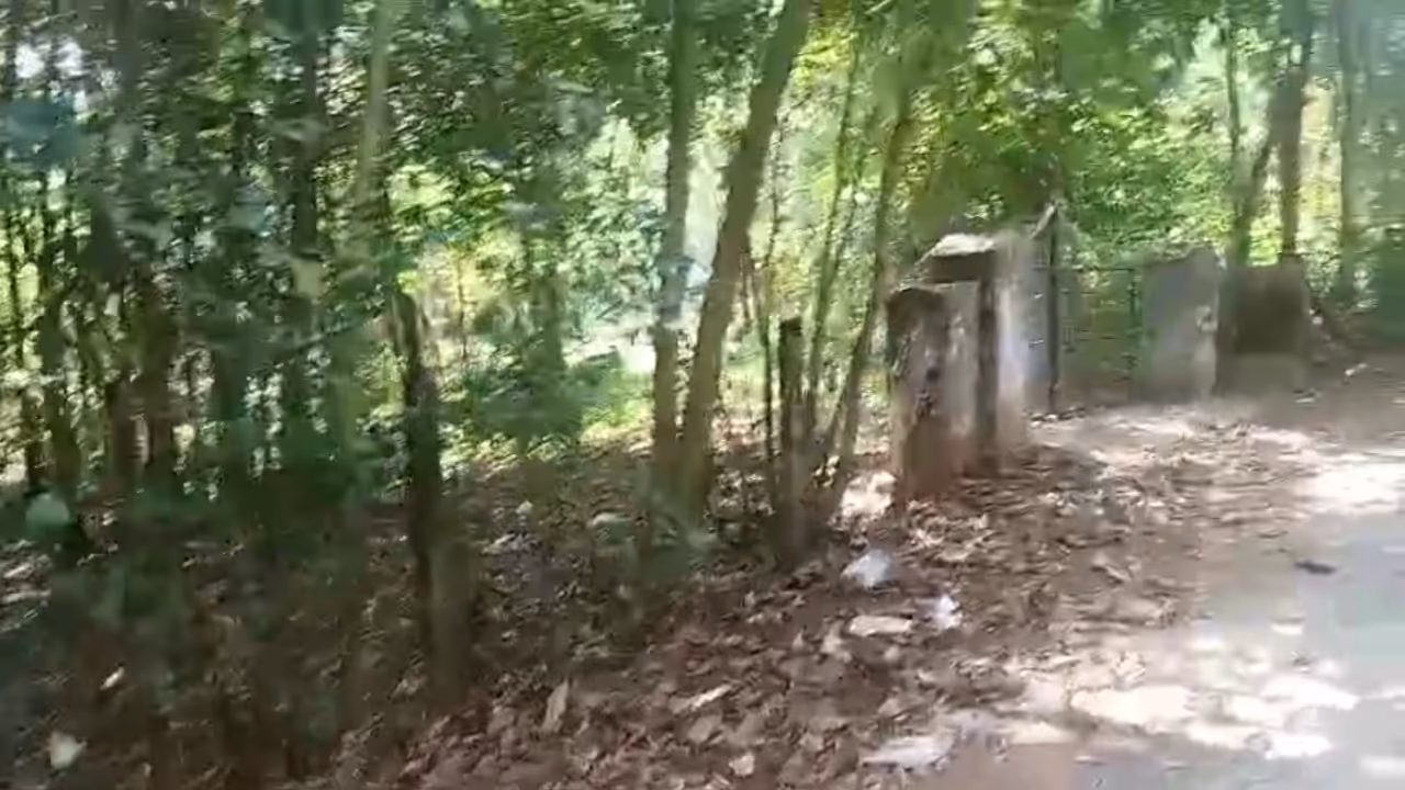 cochin devaswom board cochin devaswom board