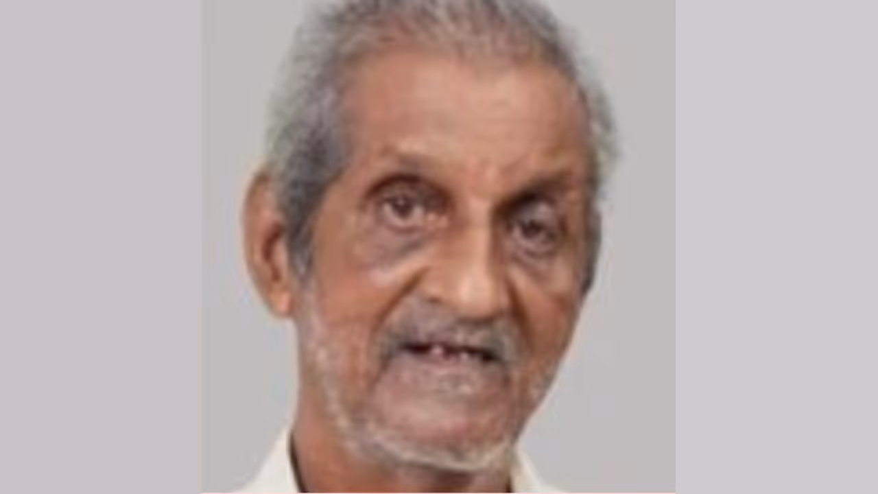 coconut tree coconut tree