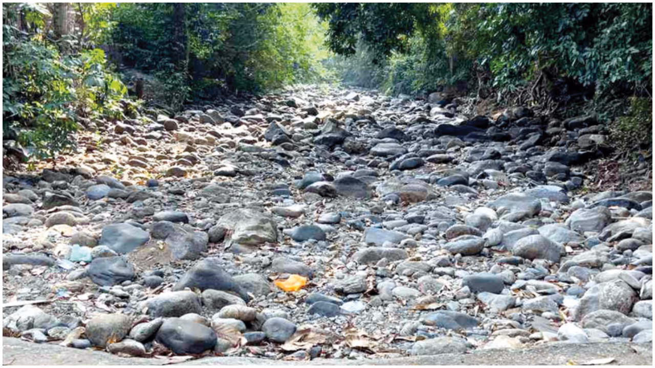 Forest streams drying in Kerala Forest streams drying in Kerala