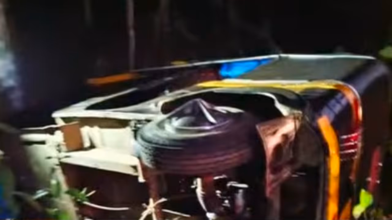 wild bison attack in Peringammala wild bison attack in Peringammala