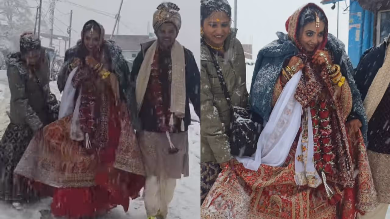 viral video viral video