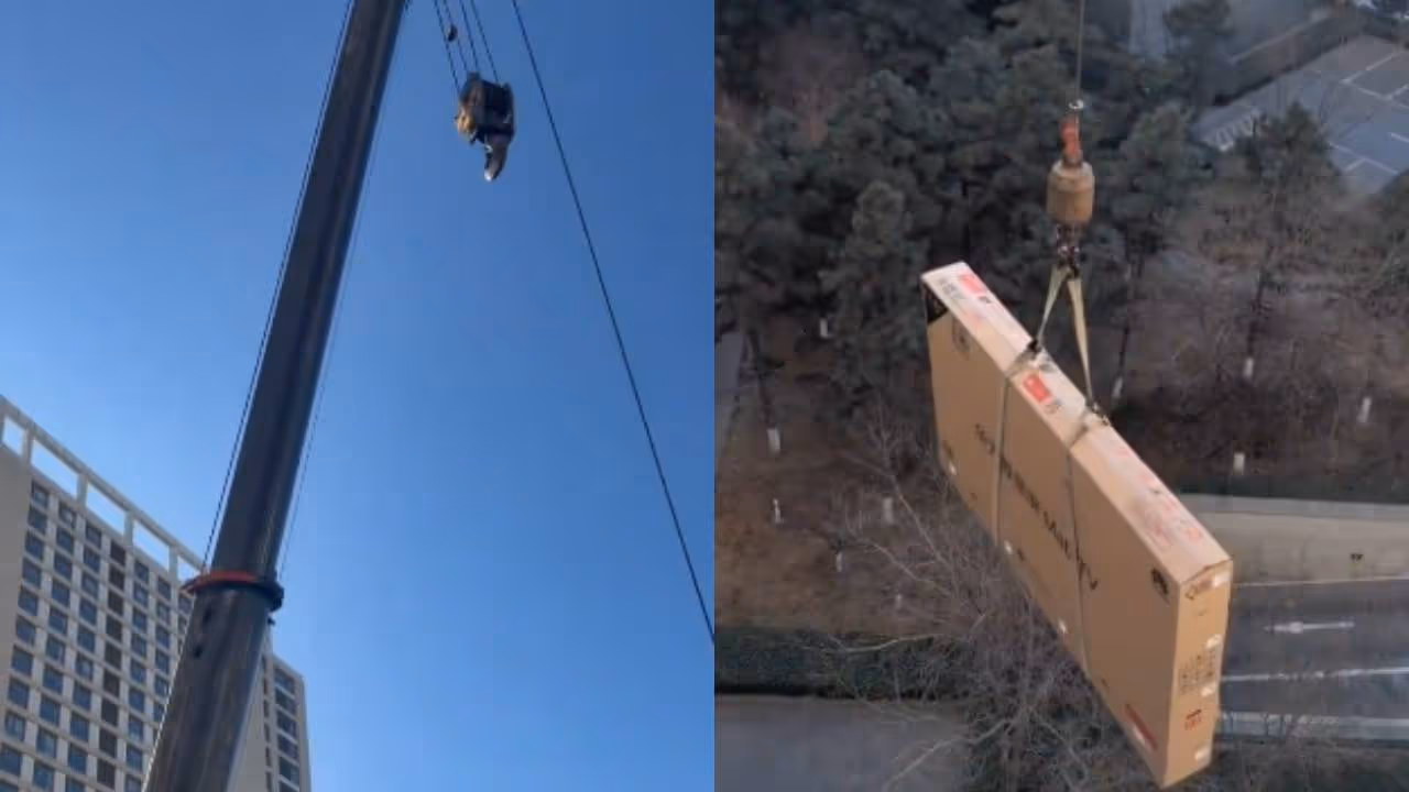 viral video viral video