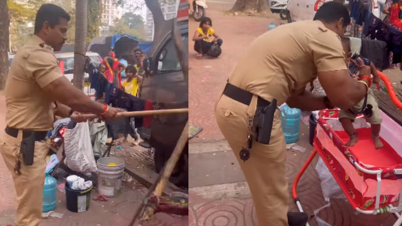 viral video viral video