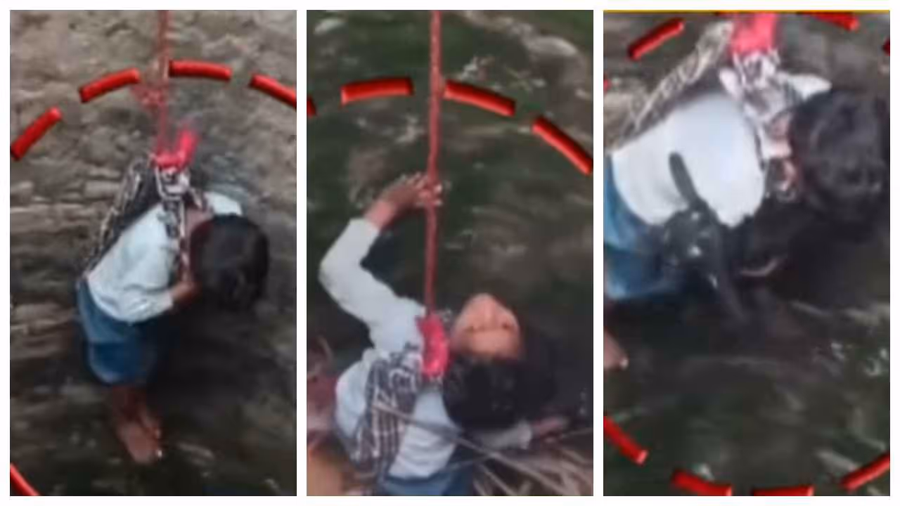 Boy save lamb from 40 feet deep well Boy save lamb from 40 feet deep well