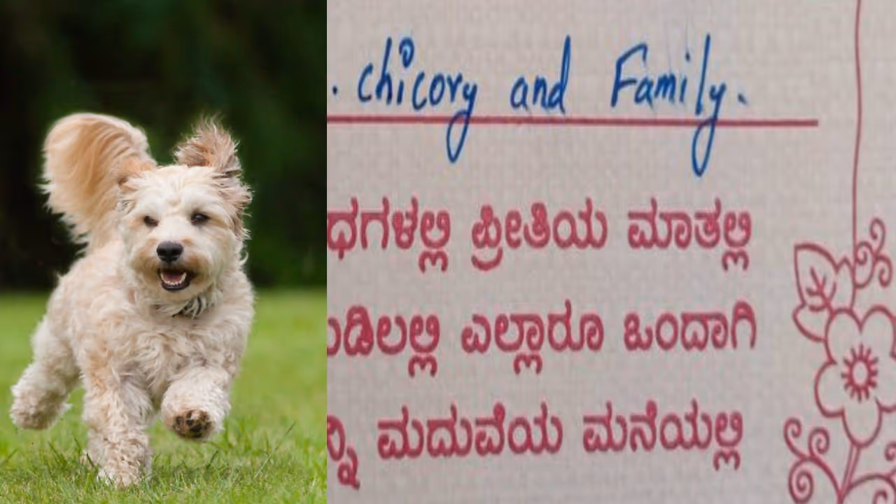 viral wedding invitation viral wedding invitation