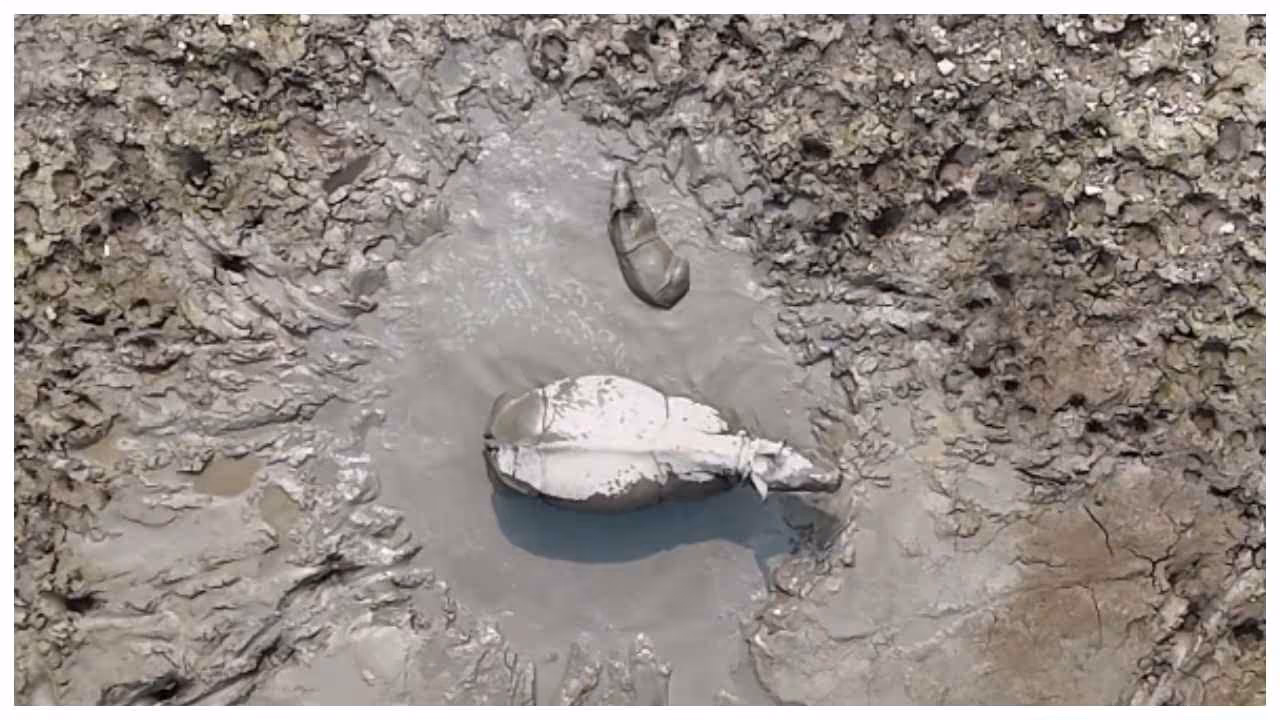 Kaziranga National Park Kaziranga National Park