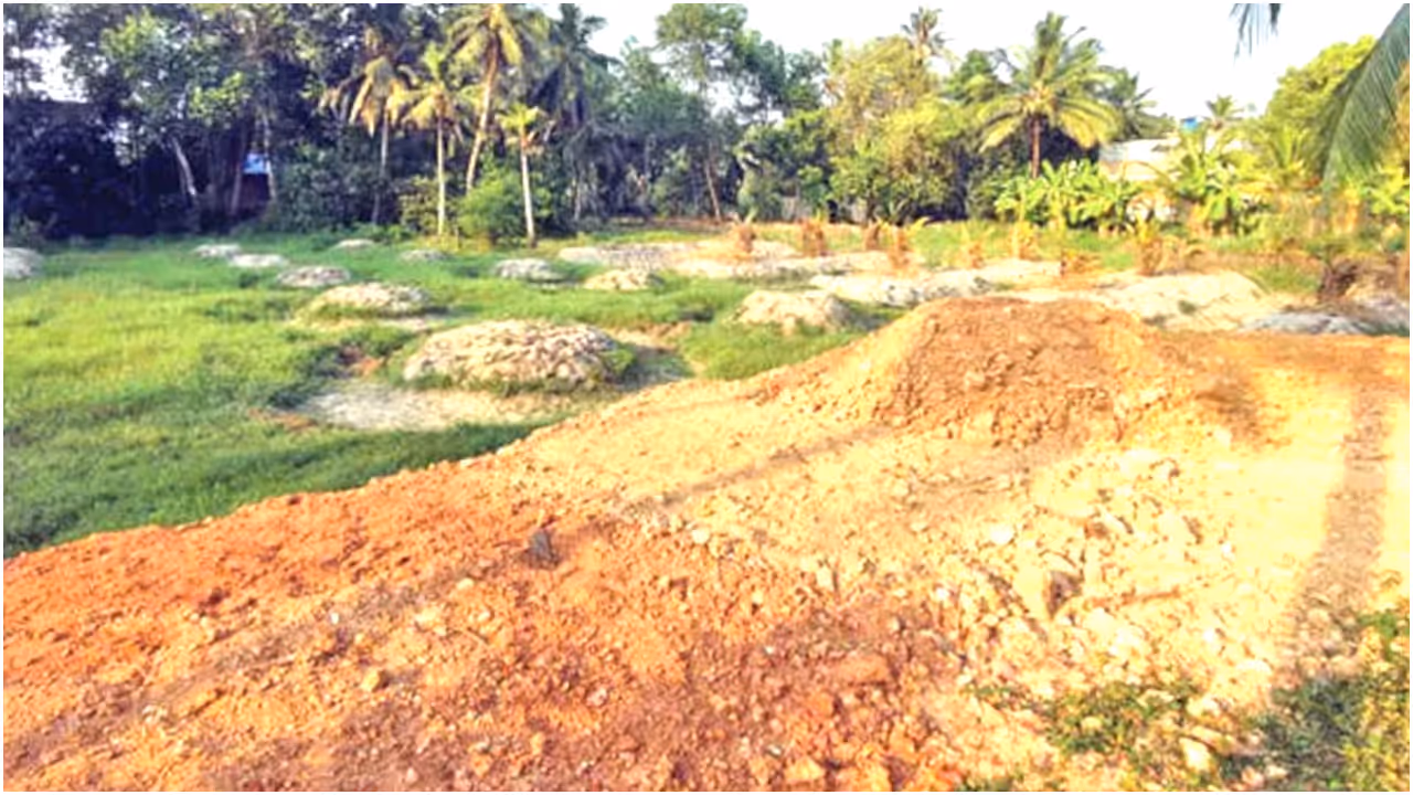 land fillling land fillling