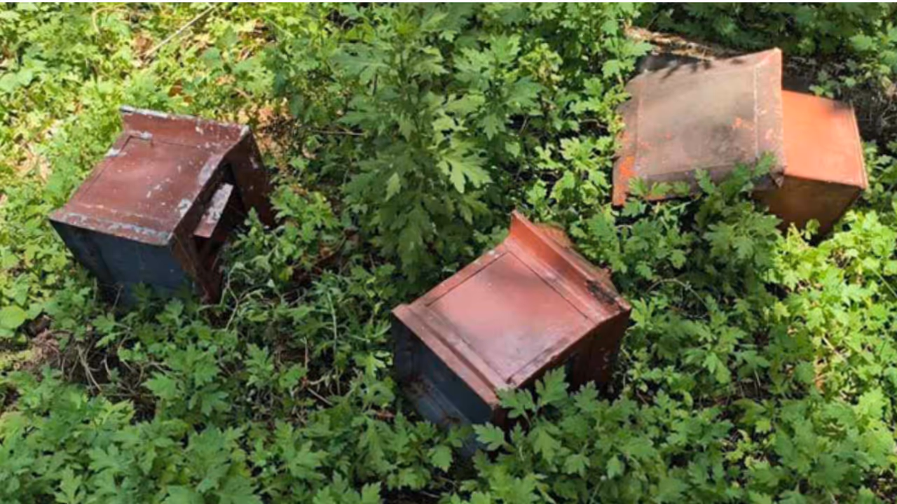 temple theft temple theft