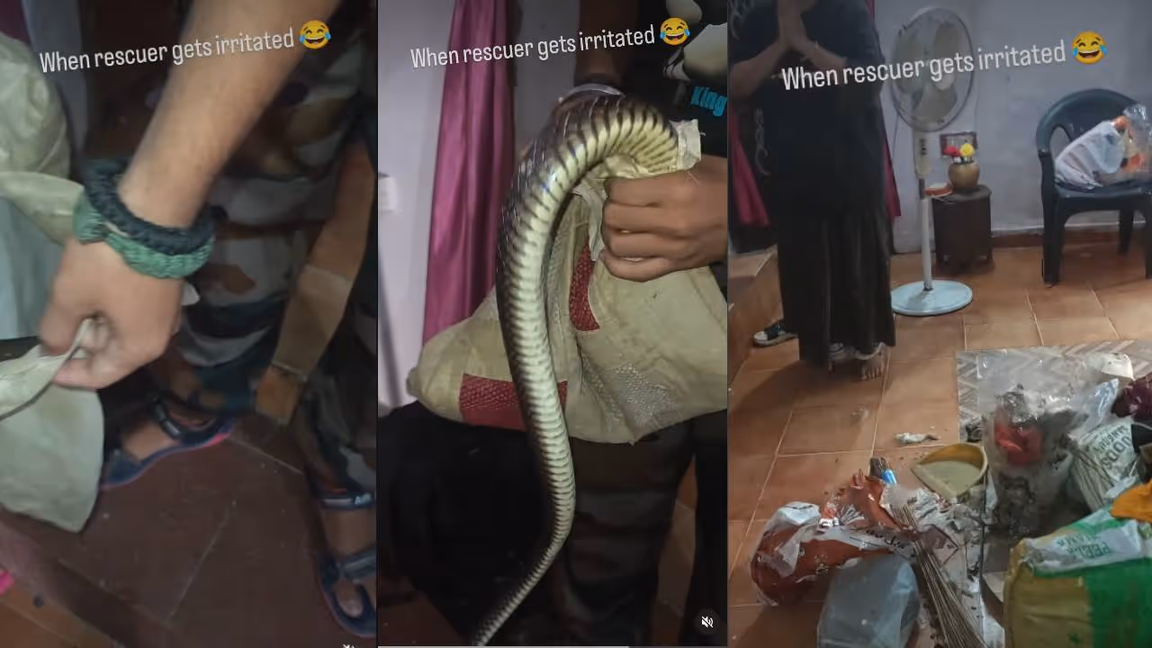 viral video viral video