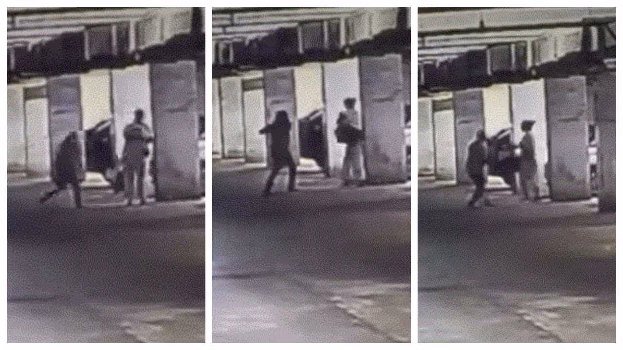 woman was beaten up for feeding a stray dog woman was beaten up for feeding a stray dog