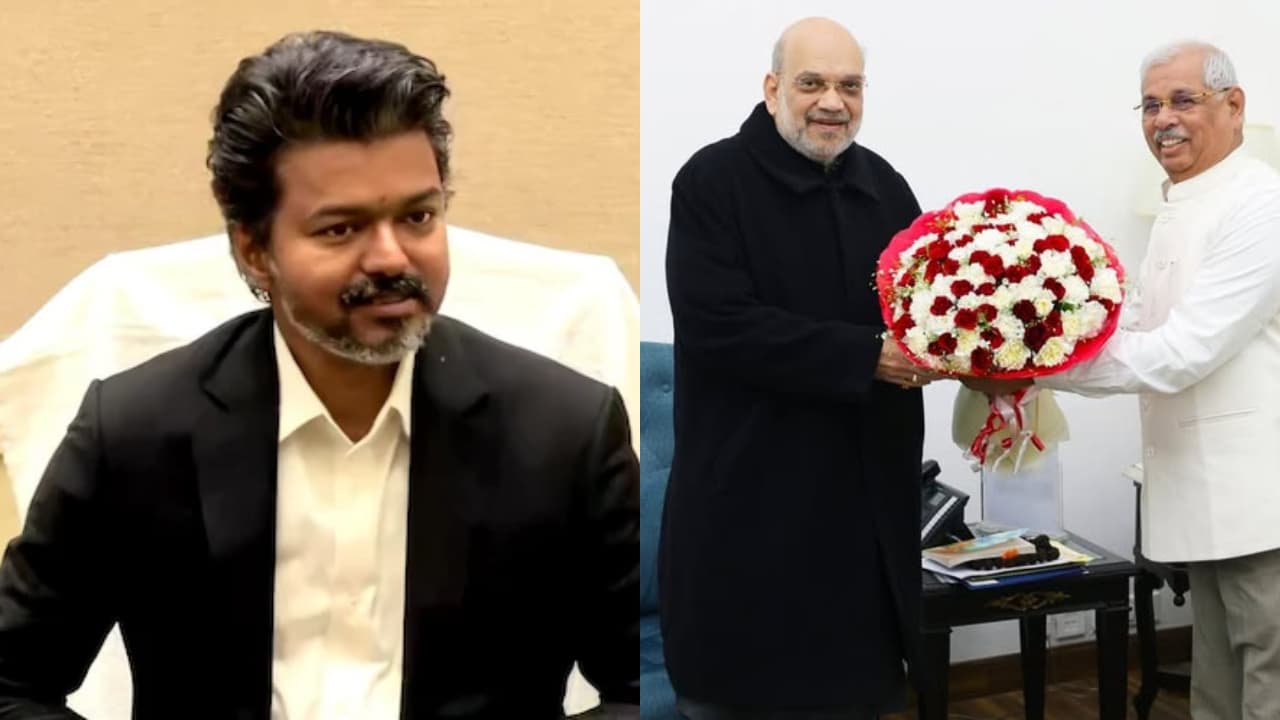 Vijay Vijay