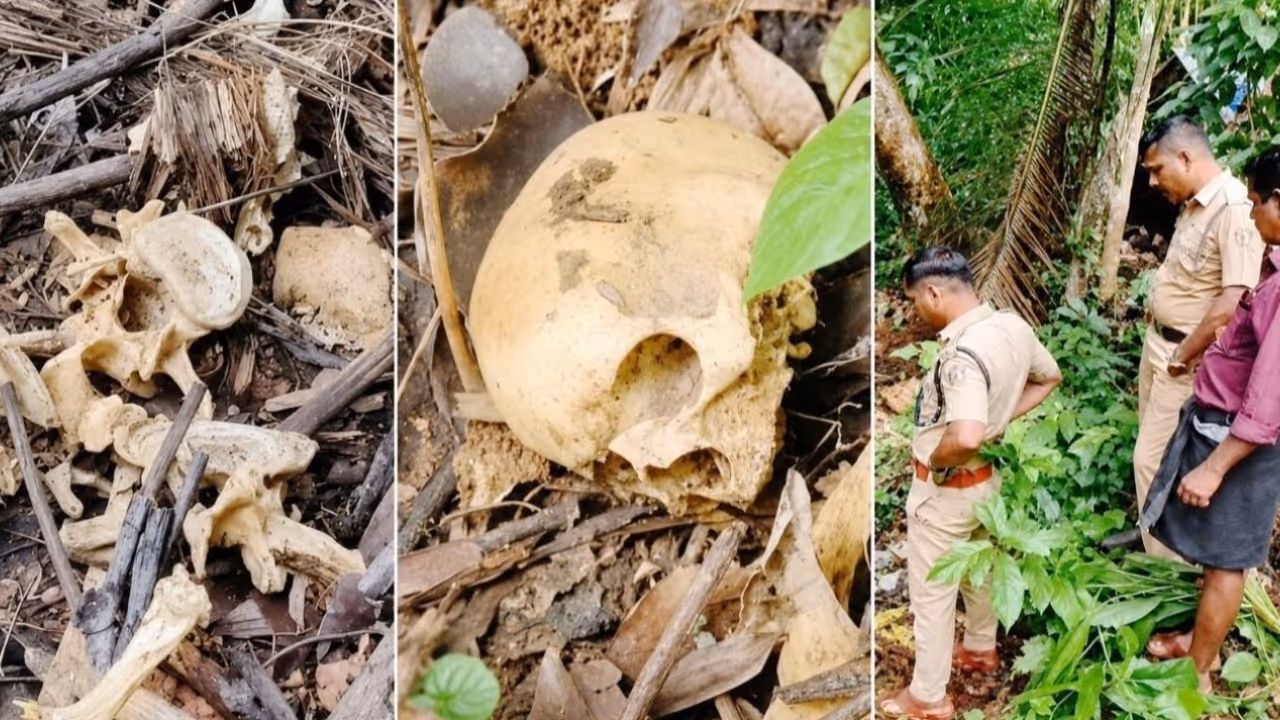 skull found in plantation skull found in plantation