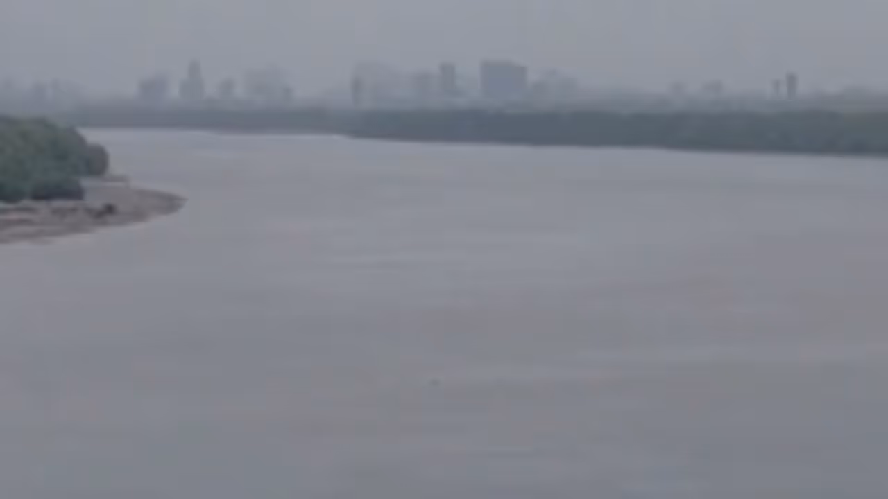 Temporary bridge for Mumbai Ahmedabad bullet train project washed away Temporary bridge for Mumbai Ahmedabad bullet train project washed away