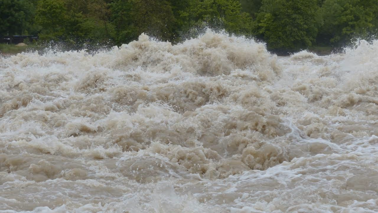 flood flood