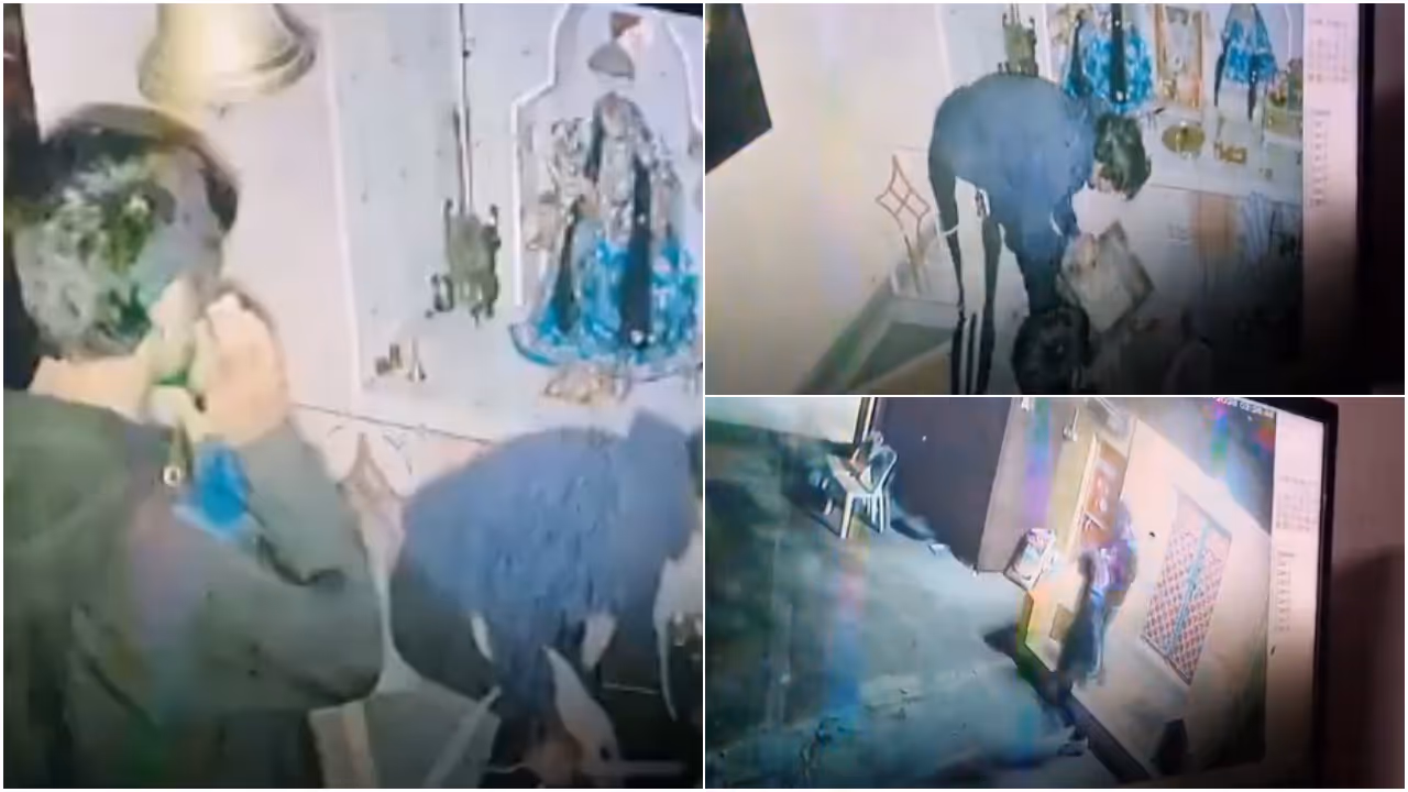 Nagpur Temple Theft CCTV Nagpur Temple Theft CCTV