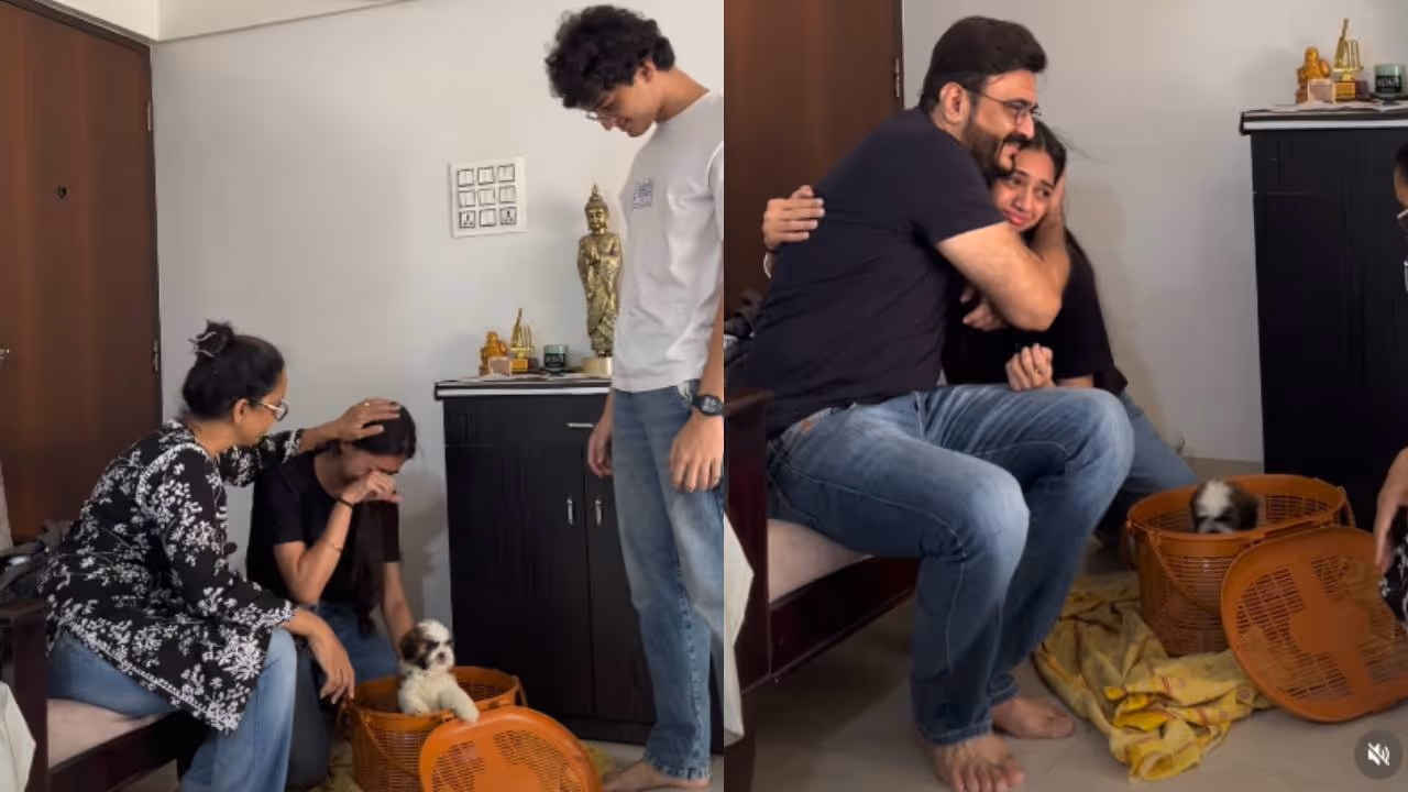 viral video viral video
