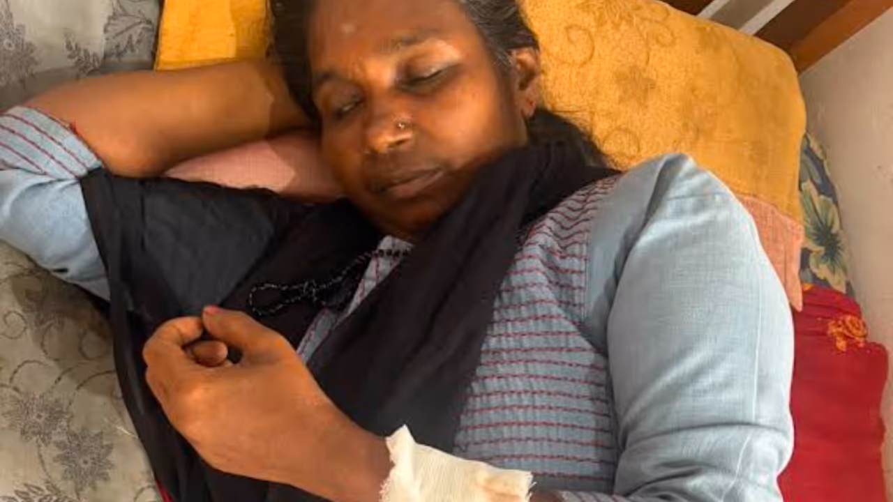 wild boar attack vilappilsala wild boar attack vilappilsala