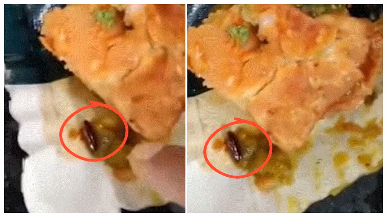 cockroach found in samosa cockroach found in samosa
