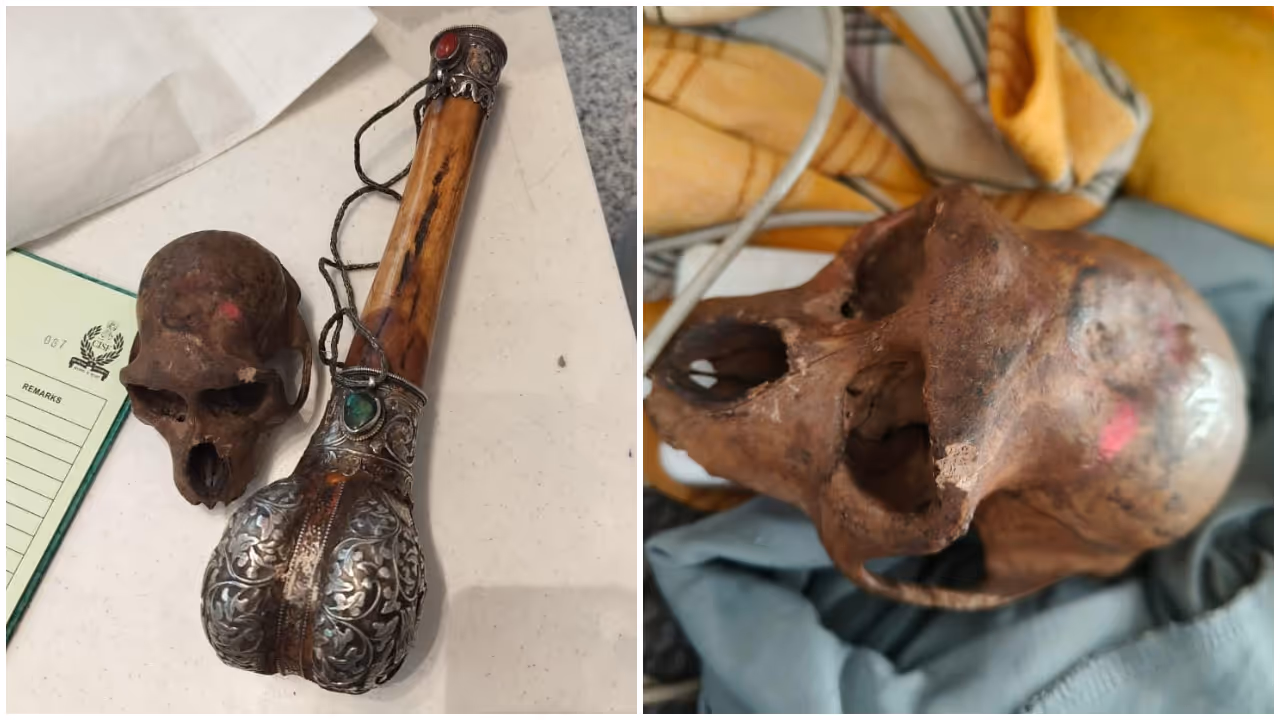 Delhi Airport Monkey Skull Found Delhi Airport Monkey Skull Found