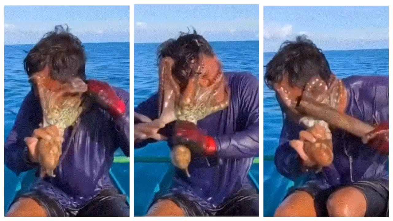 Octopus clings to fisherman's face Octopus clings to fisherman's face