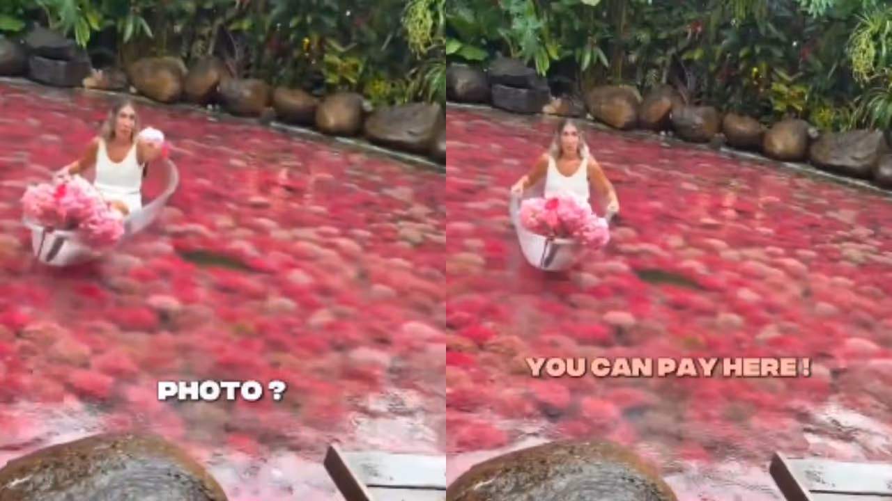 viral video viral video