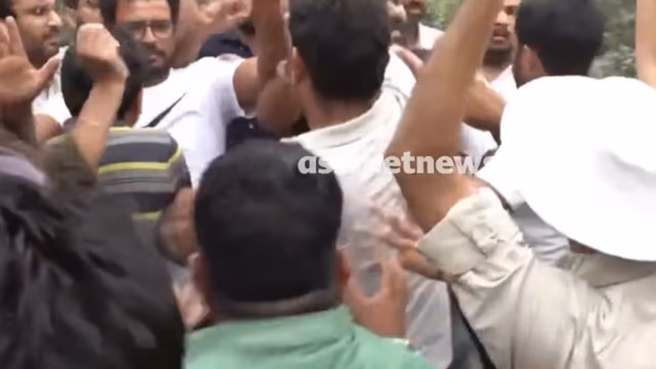 cjp cjp