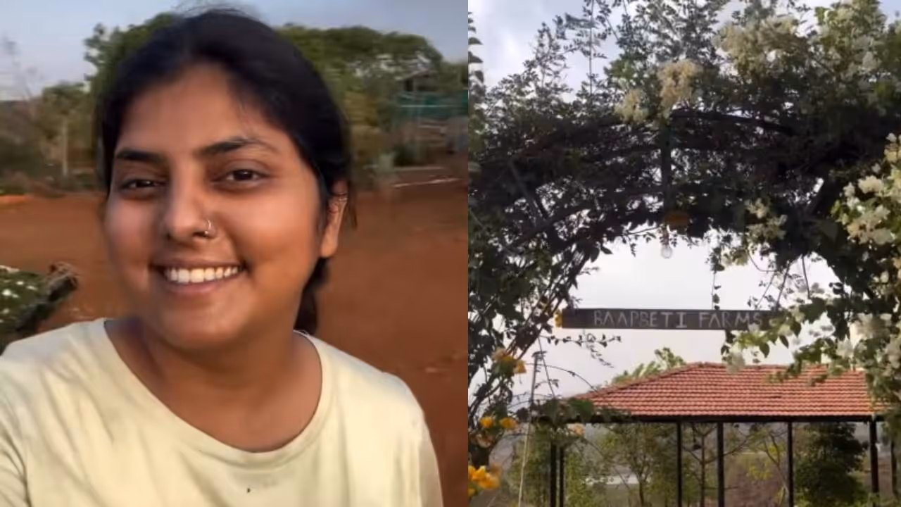 viral video viral video