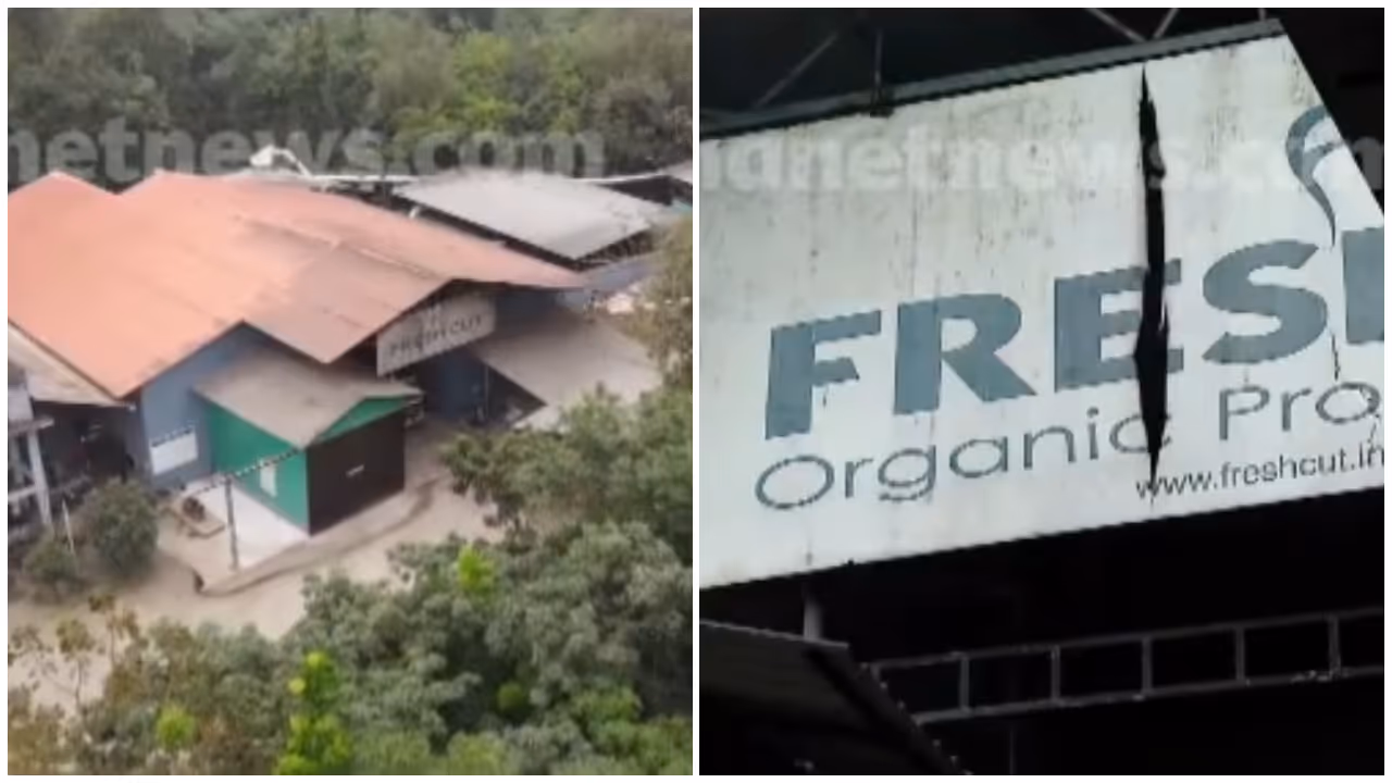 Thamarassery Fresh Cut Factory Thamarassery Fresh Cut Factory