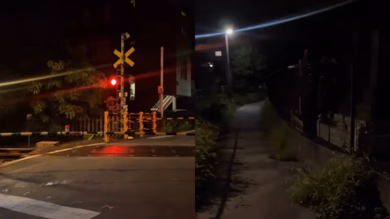 viral video viral video