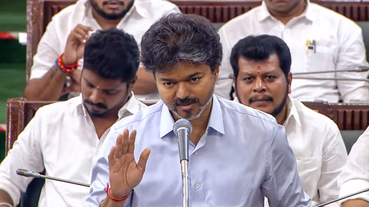 Vijay Vijay
