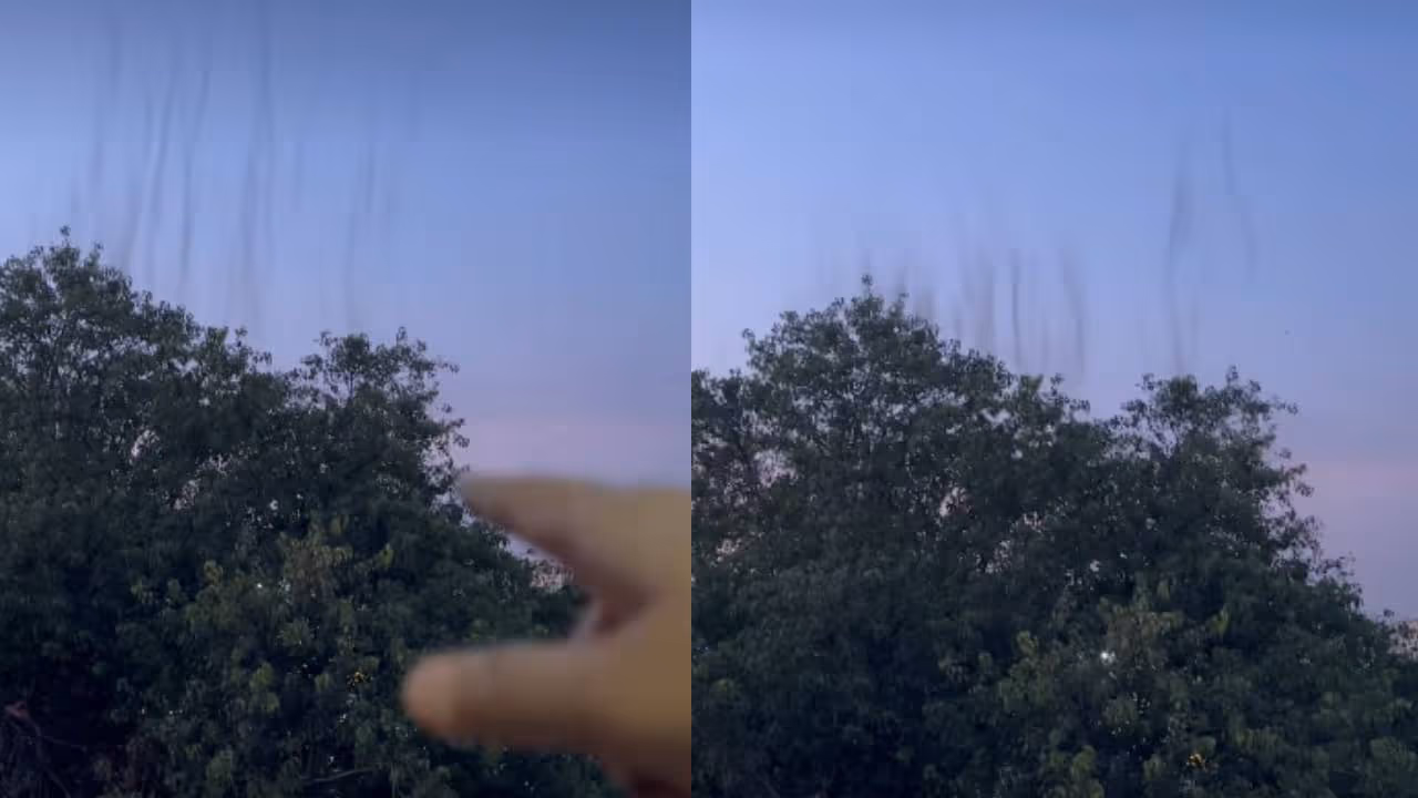 viral video viral video