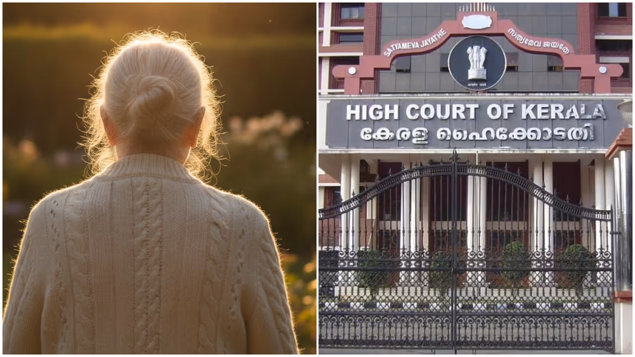High Court on Grandmother Maintenance Plea High Court on Grandmother Maintenance Plea