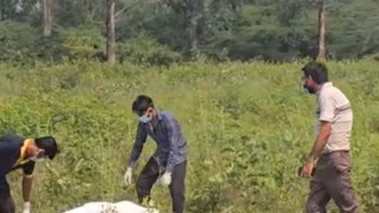 delhi gang rape delhi gang rape
