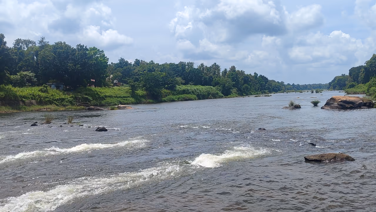 chalakudy river chalakudy river