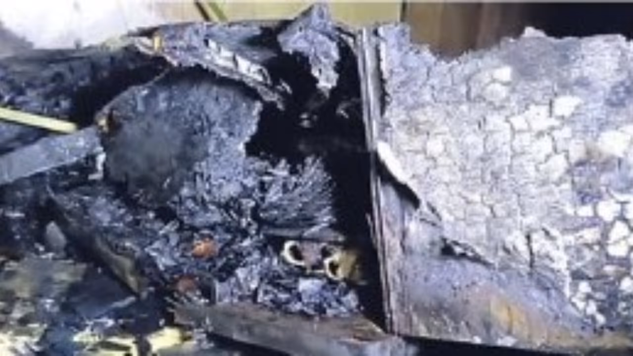 tv blast kozhikode tv blast kozhikode