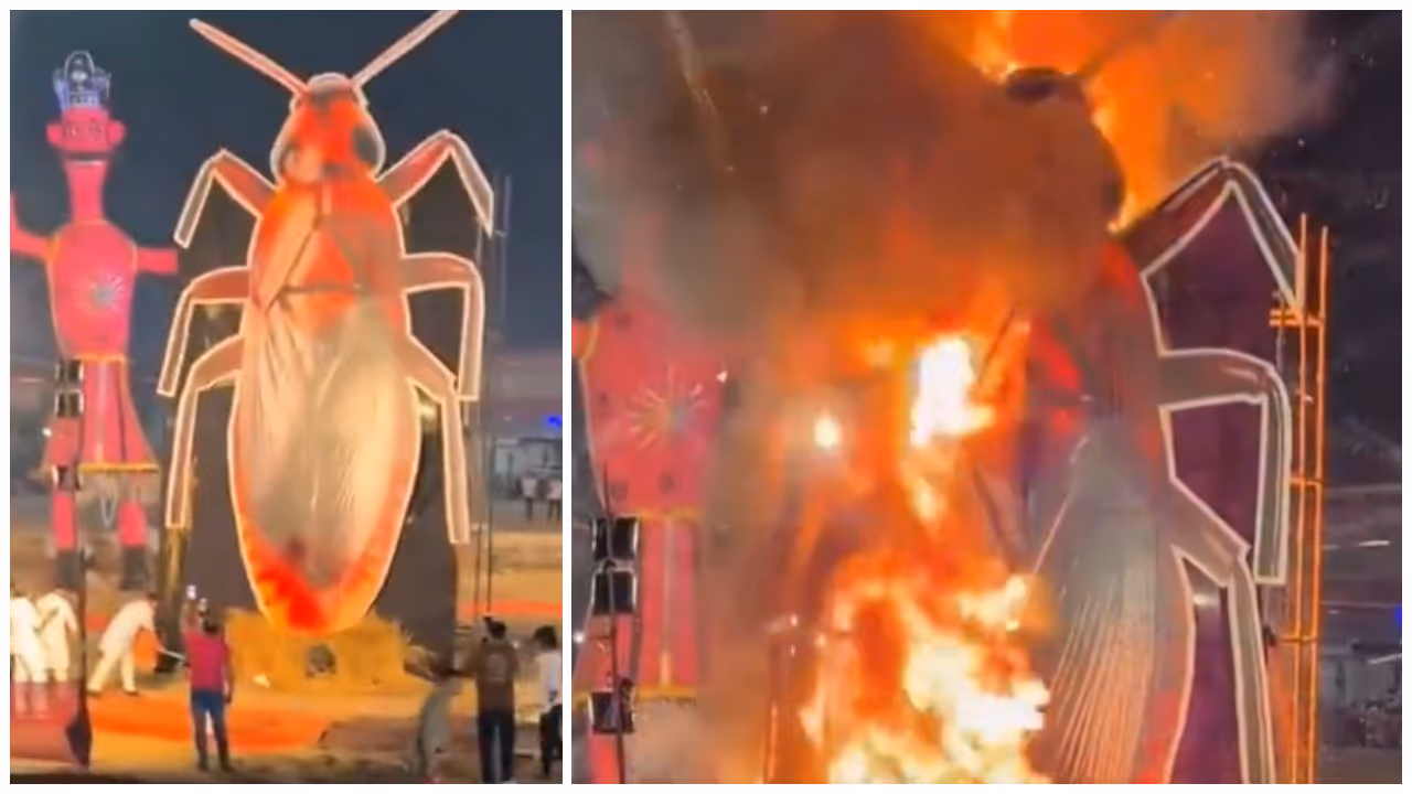 Cockroach Effigy Burning Cockroach Effigy Burning