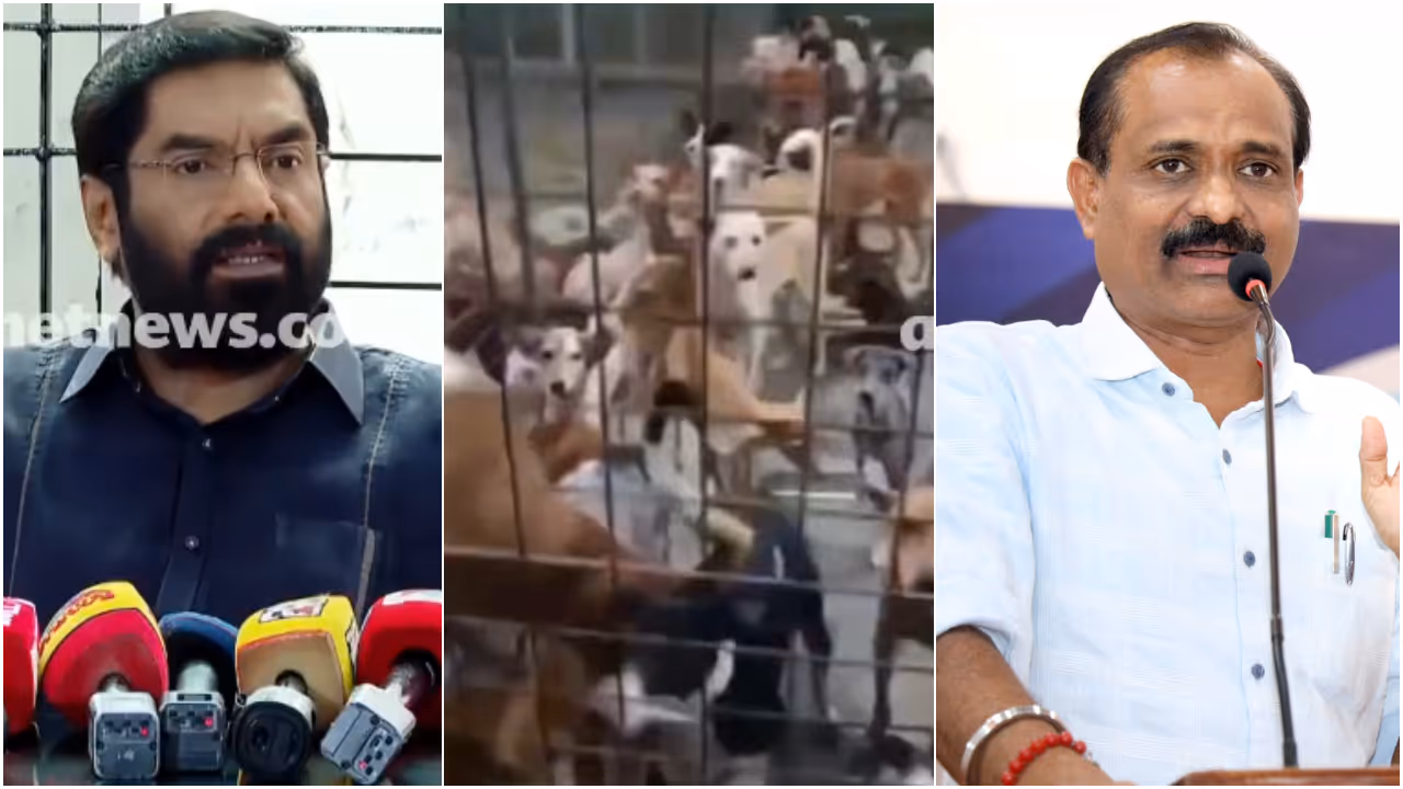 Thiruvananthapuram Stray Dog Shelter Home Thiruvananthapuram Stray Dog Shelter Home