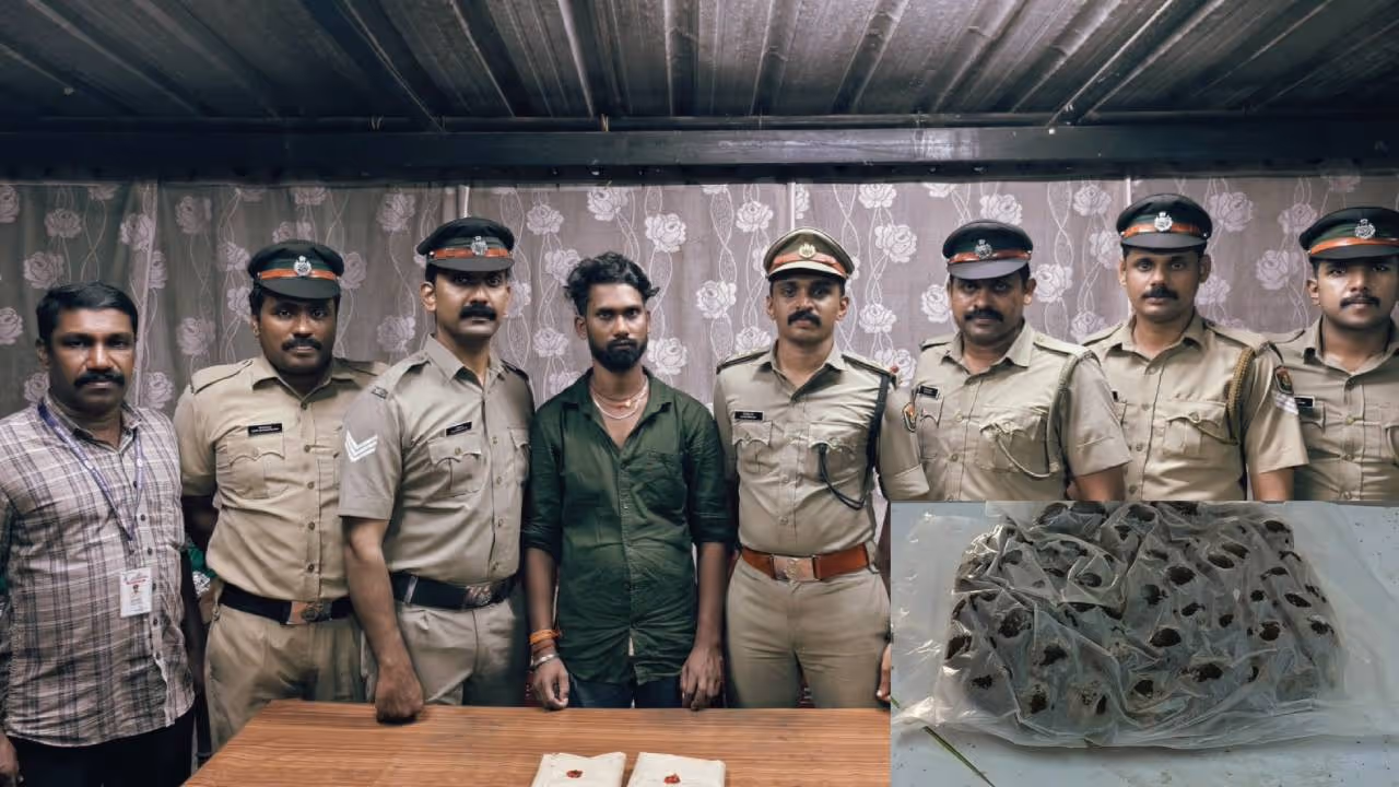 ganja candy kozhikode ganja candy kozhikode