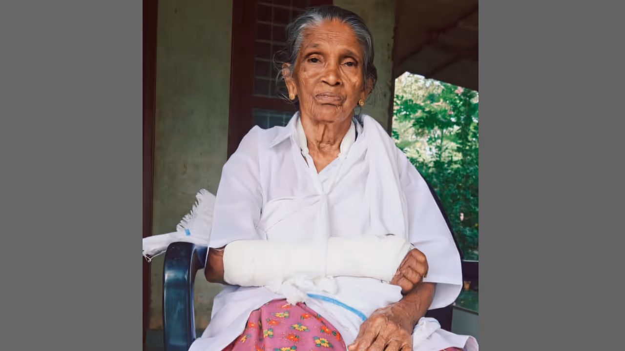old woman wild boar attack old woman wild boar attack