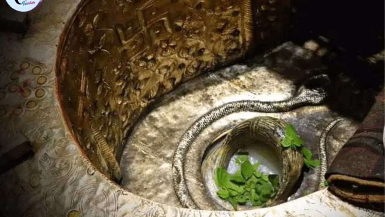 Gola Gokaran Nath stampede Gola Gokaran Nath stampede