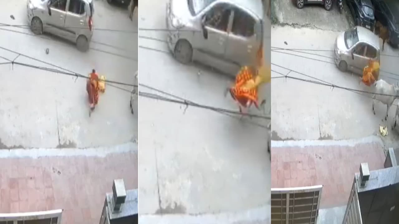 कार की टक्कर के बाद हवा में उड़ी महिला