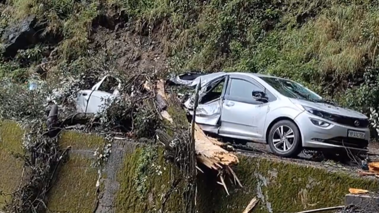 शिमला में तेज बारिश के कारण कई जगह पेड़ गिरे