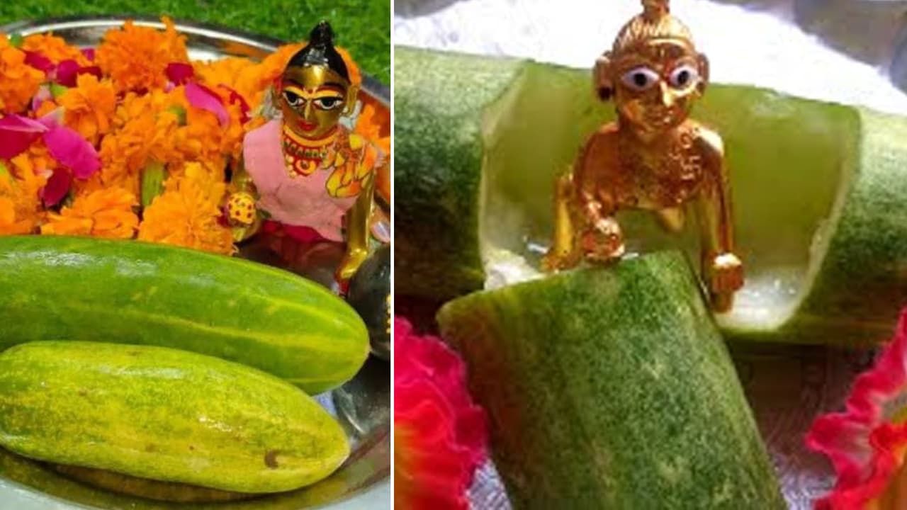 How Cucumber Ritual Performed On Janmashtami and What is the significance