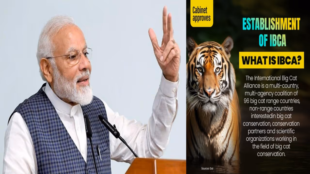 International Big Cat Alliance