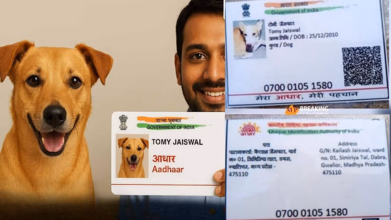 Gwalior dog Aadhar card Gwalior dog Aadhar card