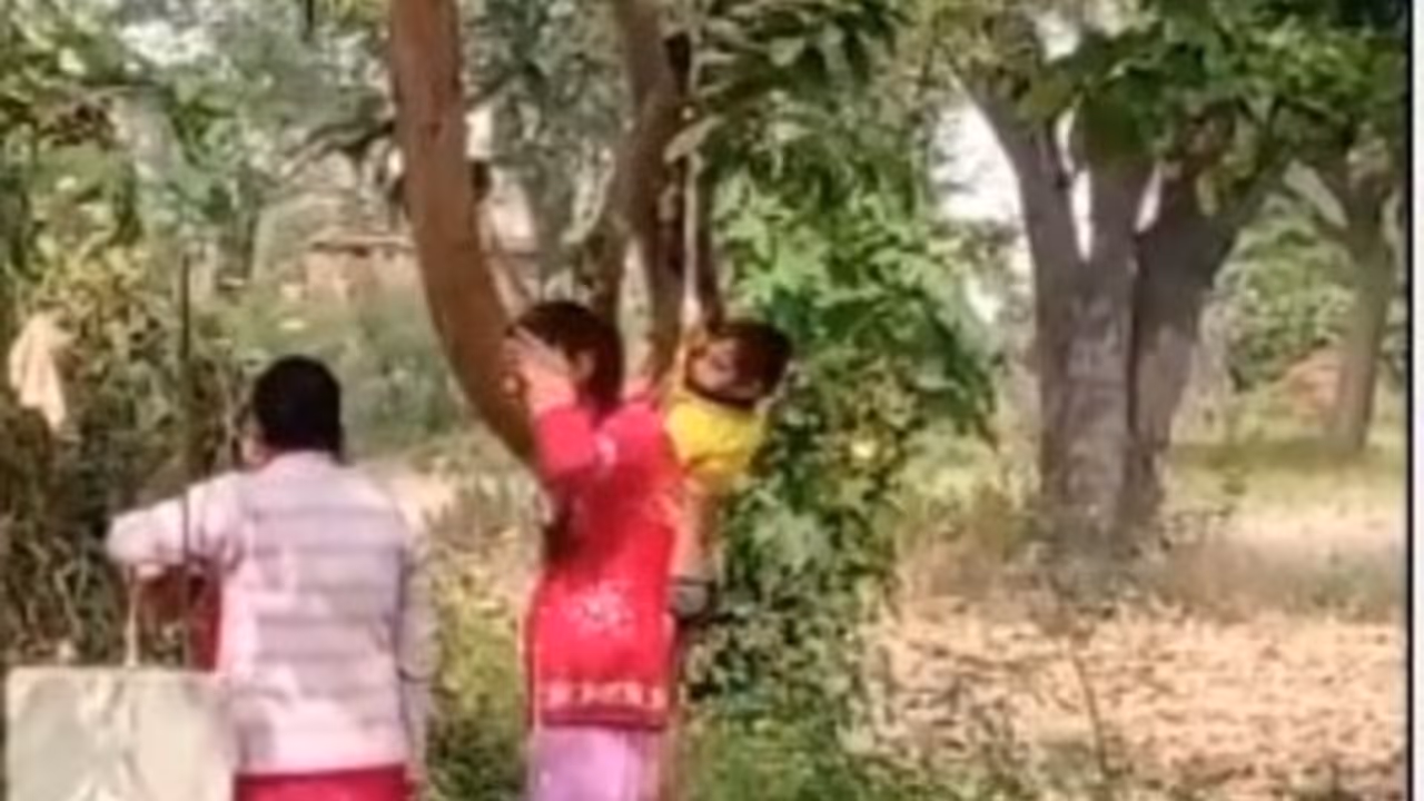 chhattisgarh schoolboy tree punishment homework viral video