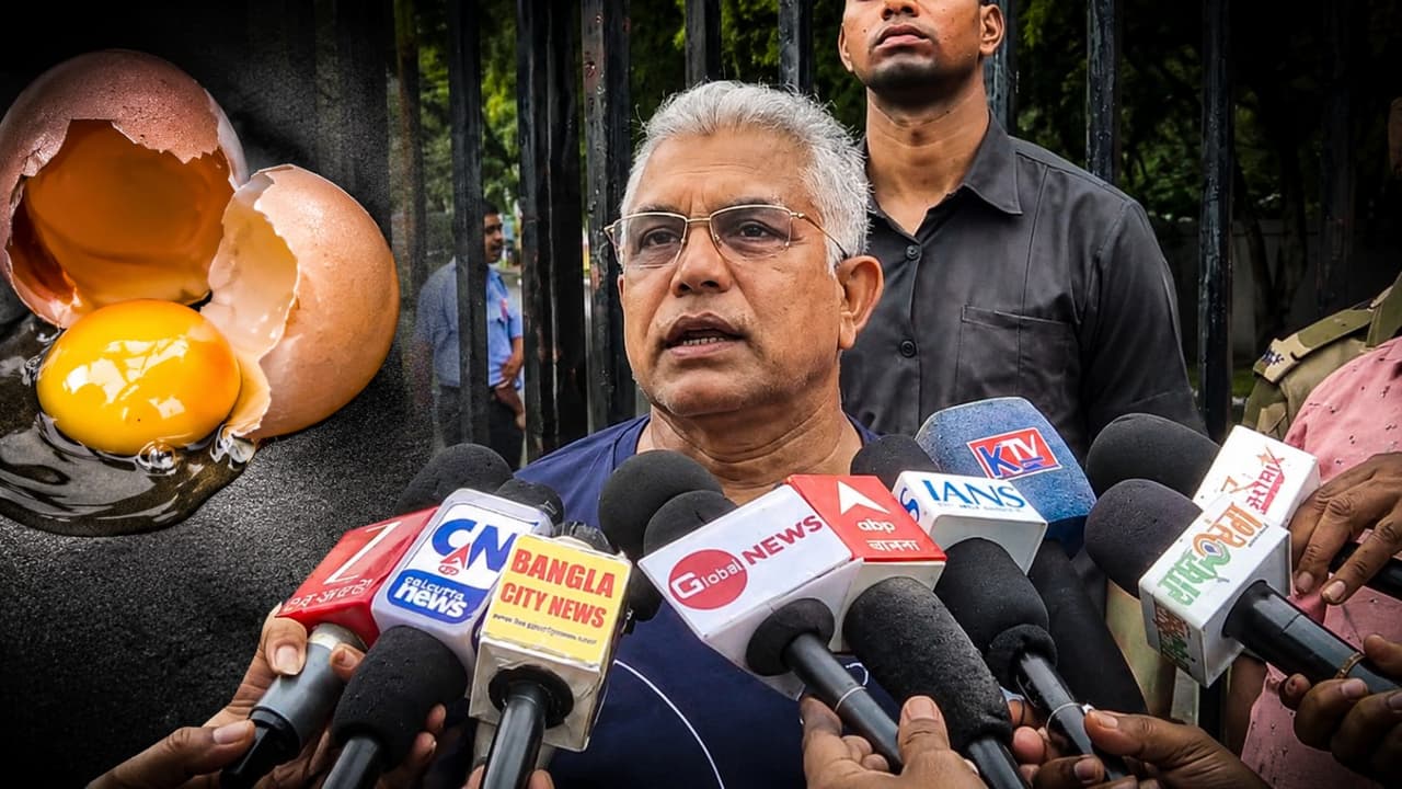 dilip ghosh controversial comment egg throw intellectuals and antisocials bsm dilip ghosh controversial comment egg throw intellectuals and antisocials bsm