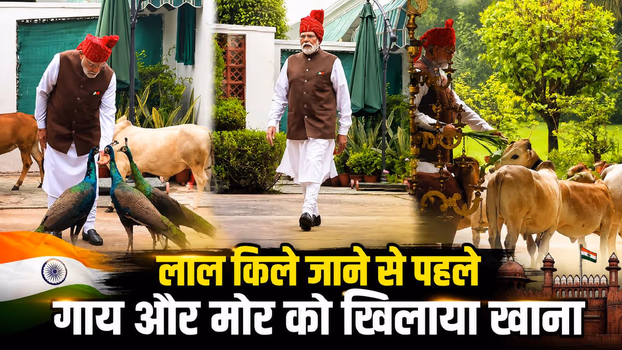 PM Modi Viral Video PM Modi Viral Video